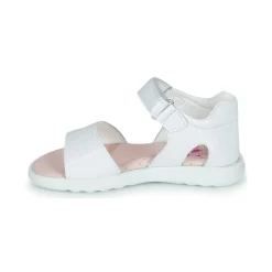 Pablosky - TAVID Blanc Online