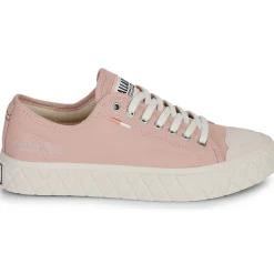 Palladium - PALLA ACE CVS ORG