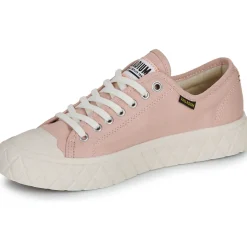 Palladium - PALLA ACE CVS ORG