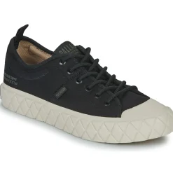 Palladium - PALLA ACE LO SUPPLY