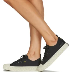 Palladium - PALLA ACE LO SUPPLY