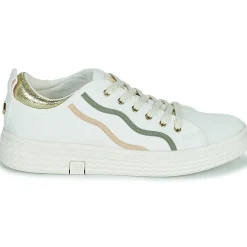 Palladium - PALLATEMPO 02 CVS