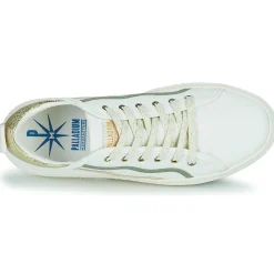 Palladium - PALLATEMPO 02 CVS