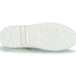 Palladium - PALLATEMPO 02 CVS