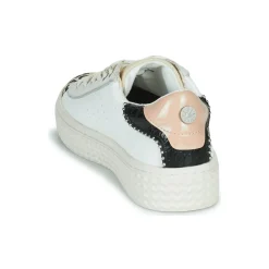 Palladium - pallatempo 02 cvs