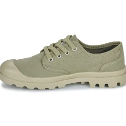 Palladium - PAMPA OX