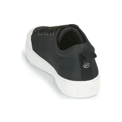 Palladium - STUDIO 02