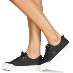 Palladium - STUDIO 02