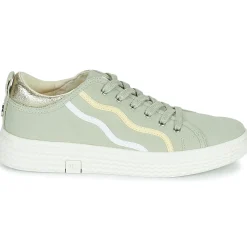 Palladium - TEMPO 02 CVS~VERVEINE~M