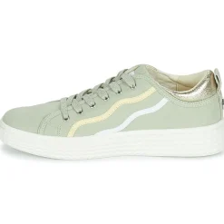 Palladium - TEMPO 02 CVS~VERVEINE~M