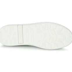 Palladium - TEMPO 02 CVS~VERVEINE~M