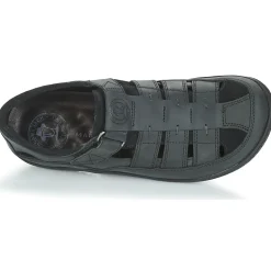 Best Panama Jack - MERIDIAN Noir