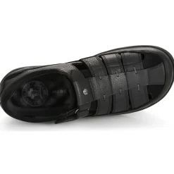 Panama Jack - MERIDIAN C25