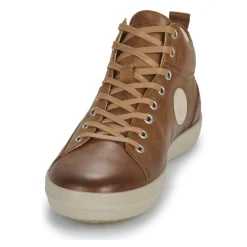 Outlet Pataugas - NEW CARLO Châtaigne