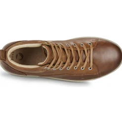 Outlet Pataugas - NEW CARLO Châtaigne