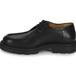 Pellet - ADAM Veaupullupnoir Hot