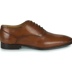 New Pellet - AKIN VEAUCOGNAC