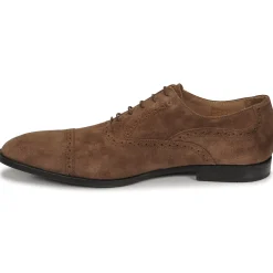 Pellet - ALEX VELOURSTAUPE New