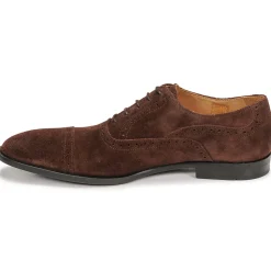 Pellet - ALEX VELOURSMARRON Best