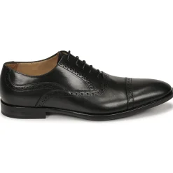 Pellet - ALEX VEAULISSENOIR Best