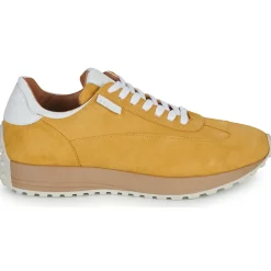 Outlet Pellet - ALFA Veloursmoutarde