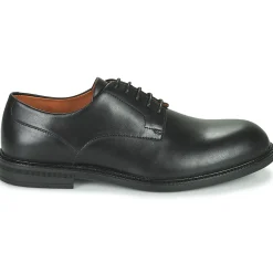 Discount Pellet - ALI Veaunoir