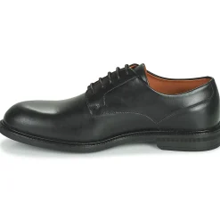 Discount Pellet - ALI Veaunoir