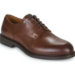 Pellet - ALI Veaulissebrossechataigne