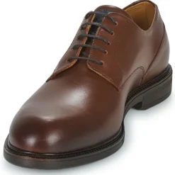 Pellet - ALI Veaulissebrossechataigne