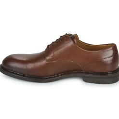 Pellet - ALI Veaulissebrossechataigne