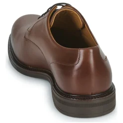 Pellet - ALI Veaulissebrossechataigne