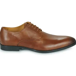 Online Pellet - ALIBI VEAUBRANDY