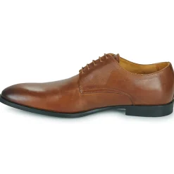 Online Pellet - ALIBI VEAUBRANDY