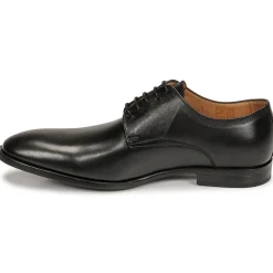 Pellet - ALIBI VEAULISSENOIR Best