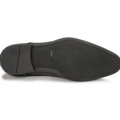 Pellet - ALIBI VEAULISSENOIR Best