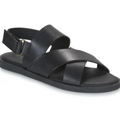 Pellet - ANGEL Veaulissenoir Outlet