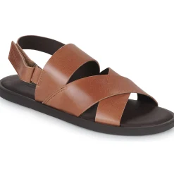 Online Pellet - ANGEL VEAUCOGNAC