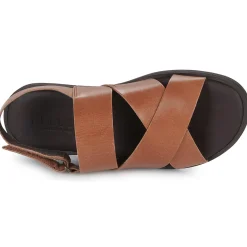 Online Pellet - ANGEL VEAUCOGNAC