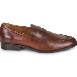 Pellet - ANTON Veaulissebrossecognac Hot