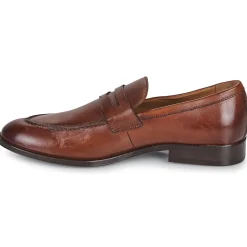 Pellet - ANTON Veaulissebrossecognac Hot