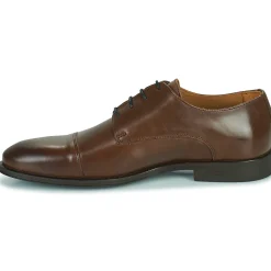 Discount Pellet - ARTHUR VEAUBOXCHOCOLAT