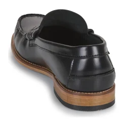 Pellet - BASILE Veaupolidonoir New