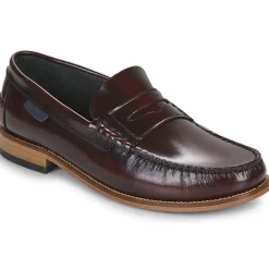 Online Pellet - BASILE Veaupolidovino