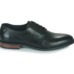 Discount Pellet - BERTRAND VEAUNOIR