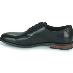 Discount Pellet - BERTRAND VEAUNOIR