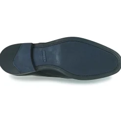 Discount Pellet - BERTRAND VEAUNOIR