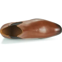 Pellet - BILL VEAUGOLD Hot