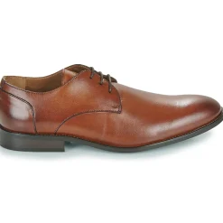 Pellet - BILLY VEAULISSECOGNAC Hot