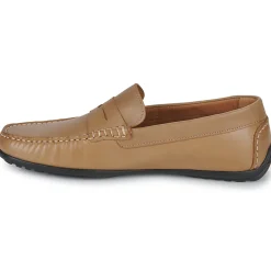 Discount Pellet - CADOR VEAUBEIGE