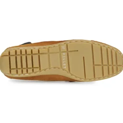 Best Pellet - CADORNA CROUTEVELOURSDATE